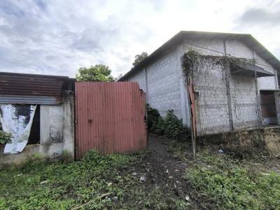 Finca Morales Izabal